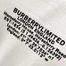 6Burberry Fashionable T-Shirts #22739