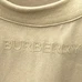 6Burberry Fashionable T-Shirts #22735