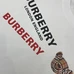 6Burberry Unisex Fashionable T-Shirts #25287