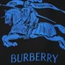 5Burberry Unisex Fashionable T-Shirts #25269