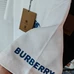 9Burberry Unisex Fashionable T-Shirts #25236