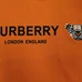 6Burberry Fashionable T-Shirts #22742