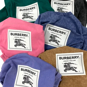 Burberry Fashionable T-Shirts #24175