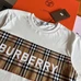 6Burberry Fashionable T-Shirts #24469