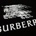 8Burberry Unisex Fashionable T-Shirts #25224