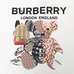 7Burberry Unisex Fashionable T-Shirts #25184