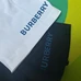 5Burberry Unisex Fashionable T-Shirts #24085