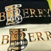 9Burberry Unisex Fashionable T-Shirts #25175