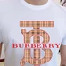 6Burberry Fashionable T-Shirts #23763