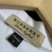 7Burberry Men Fashionable T-Shirts #24100