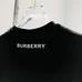 5Burberry Fashionable T-Shirts #24495