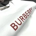 8Burberry Fashionable T-Shirts #25173