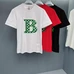 10Burberry Fashionable T-Shirts #22602