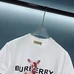 8Burberry Fashionable T-Shirts #22591