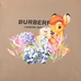 6Burberry Women Fashionable T-Shirts #24520