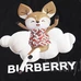 9Burberry Men Fashion T-shirts #25630