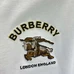 7Burberry Fashionable T-Shirts #22700