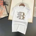 6Burberry Men Fashionable T-Shirts #23431