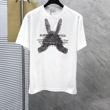 Burberry Fashionable T-Shirts #23841