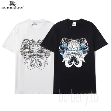 Burberry Fashion T-shirts #25619