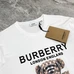 7Burberry Men Fashionable T-Shirts #22571