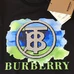 7Burberry Unisex Fashionable T-Shirts #22689