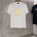 1Burberry Men Fashionable T-Shirts #23393