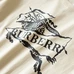 9Burberry Unisex Fashionable T-Shirts #25391