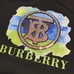 7Burberry Fashionable T-Shirts #22682