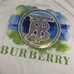 8Burberry Fashionable T-Shirts #22682