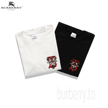 Burberry Fashion T-shirts #25635