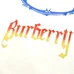 8Burberry Unisex Fashionable T-Shirts #24405