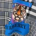 6Burberry Fashionable T-Shirts #21909