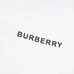 6Burberry Fashionable T-Shirts #24439