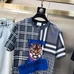 5Burberry Men Fashionable T-Shirts #21863