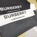 6Burberry Fashionable T-Shirts #25343