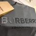 7Burberry Fashionable T-Shirts #25343