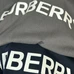 9Burberry Unisex Fashionable T-Shirts #25306