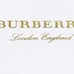 5Burberry Fashionable T-Shirts #24804