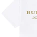 6Burberry Fashionable T-Shirts #24804