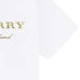 7Burberry Fashionable T-Shirts #24804