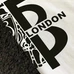 6Burberry Fashionable T-Shirts #23669