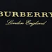 5Burberry Fashionable T-Shirts #24814