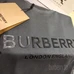 8Burberry Fashion T-shirts #25467