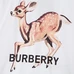 5Burberry Unisex Fashion T-shirts #24996