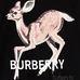 6Burberry Unisex Fashion T-shirts #24996