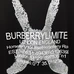 6Burberry Fashionable T-Shirts #22499