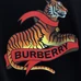 6Burberry Fashionable T-Shirts #22507