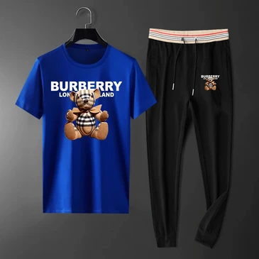 Burberry Fashionable Tracksuits #21409