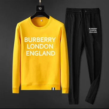 Burberry Fashionable Tracksuits #21416